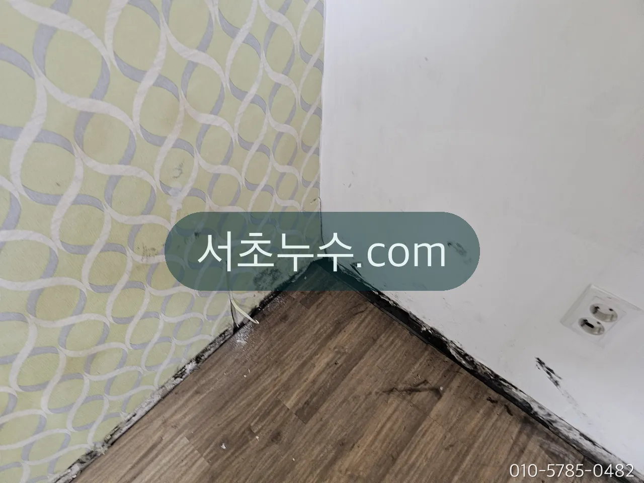 벽 하단 벽지에 번진 물자국과 곰팡이