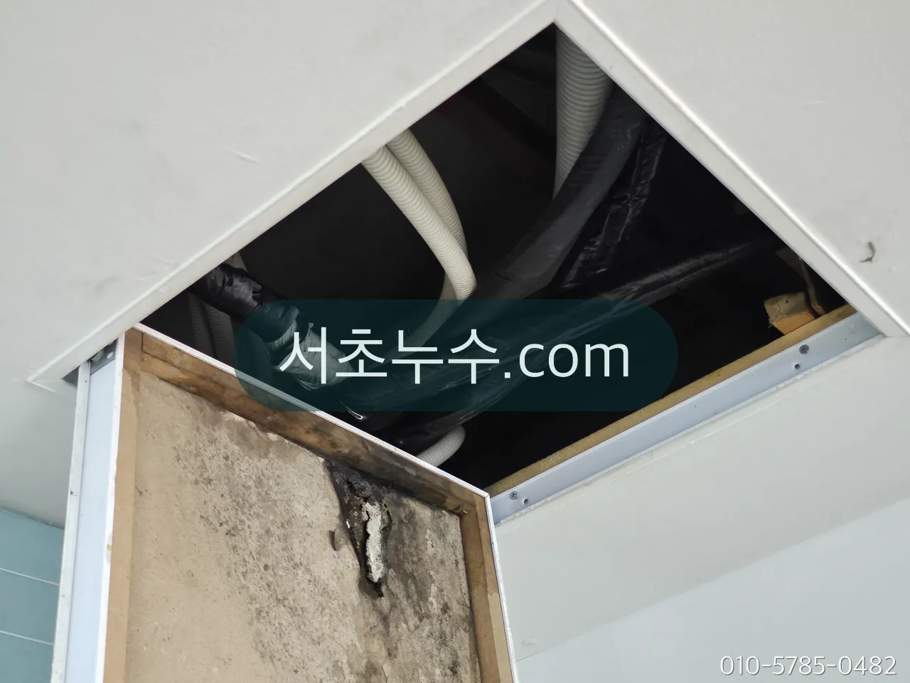 공용 입상관이 지나는 천장 점검구를 열어 확인하는 모습과 벽면 곰팡이